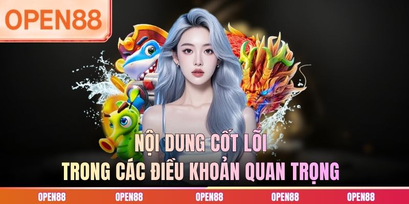 Nội dung cốt lõi trong các điều khoản quan trọng